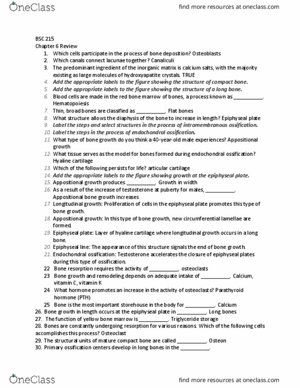 BSC 215 Chapter Notes - Chapter 6: Osteoclast, Hydroxylapatite, Bone thumbnail