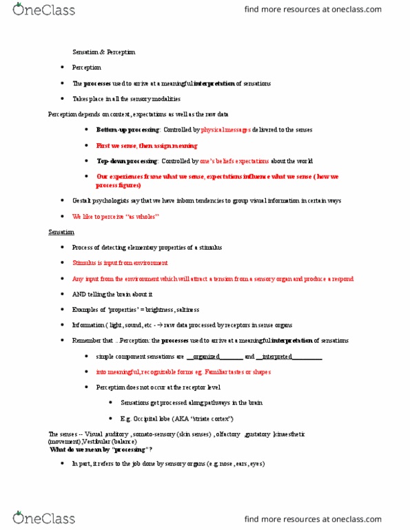 PSY 102 Lecture Notes - Lecture 4: Far-Sightedness, Temporal Lobe, Psychophysics thumbnail