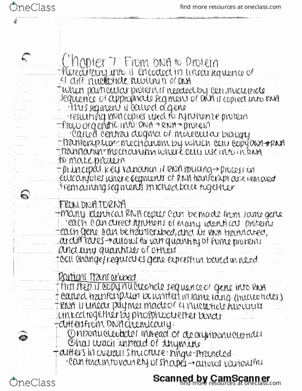 BIOL 302 Chapter 7: From DNA to RNA thumbnail