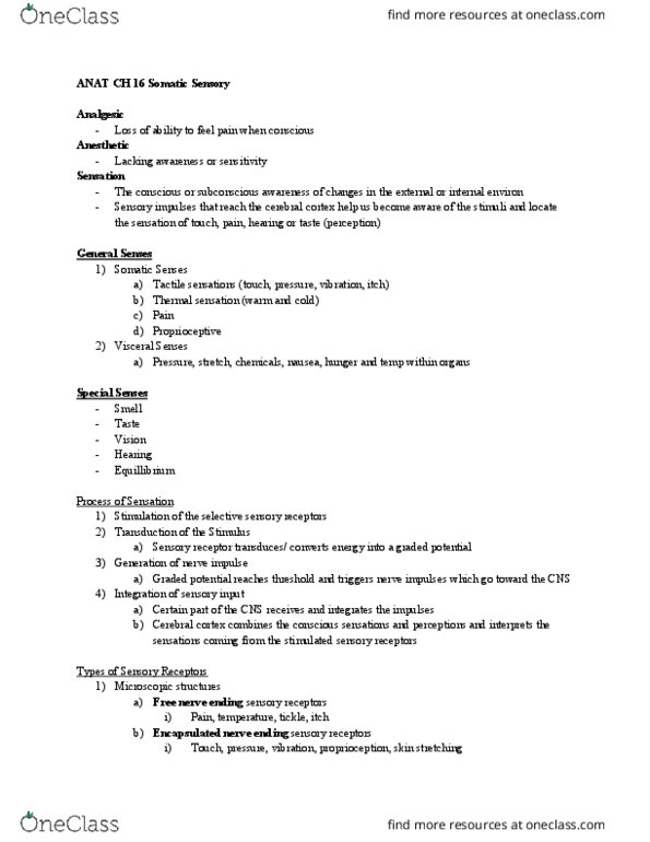 ANAT 102 Lecture Notes - Lecture 16: Anesthetic, Myelin, Cranial Nerves thumbnail