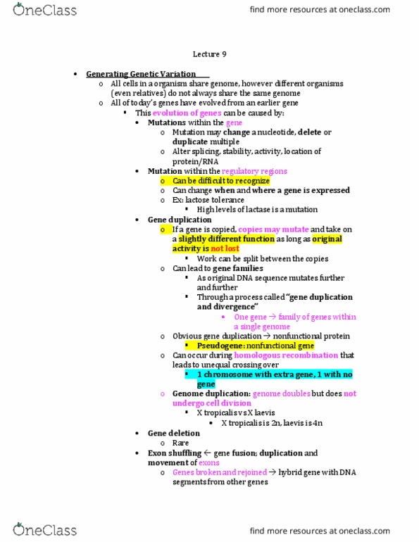 BIOL 4374 Lecture Notes - Lecture 9: Pseudogene, Point Mutation, Chromosome thumbnail