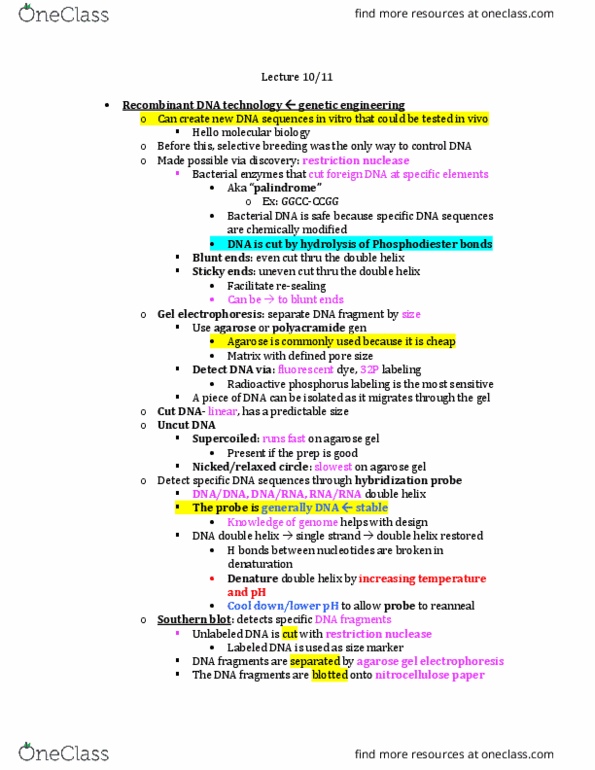 BIOL 4374 Lecture Notes - Lecture 10: Dna Profiling, Intron, Hydrolysis thumbnail