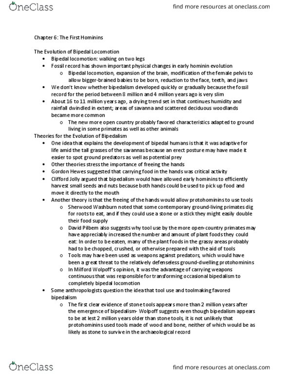 ANTH 110 Lecture Notes - Lecture 6: Homo Habilis, Dental Arch, Ape thumbnail