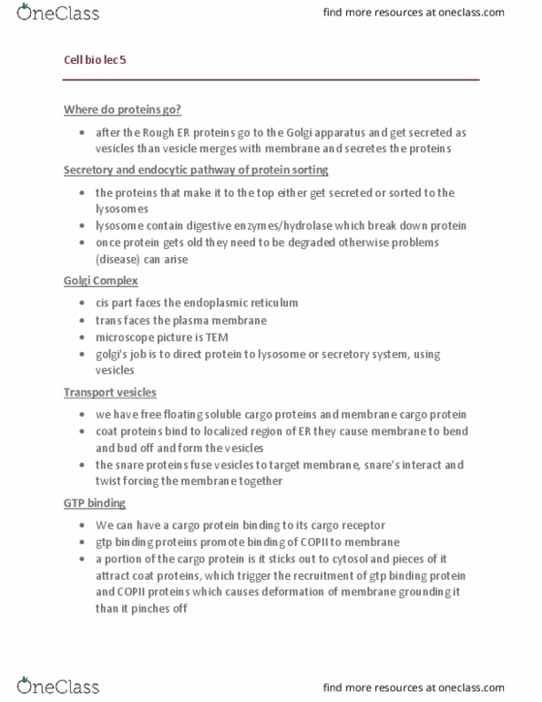 Biology 2382B Lecture Notes - Lecture 5: Clathrin, Phosphodiesterase, Triskelion thumbnail