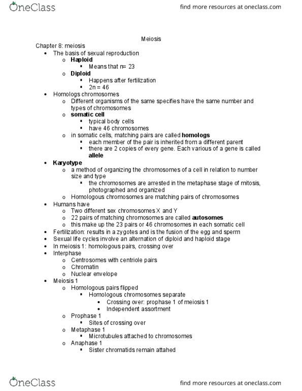 BSC 108 Lecture Notes - Lecture 13: Nuclear Membrane, Centriole, Chromatin thumbnail