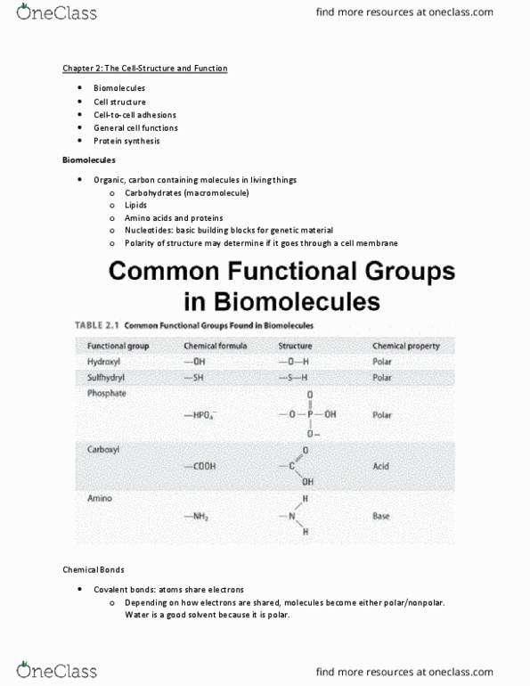 APK 2105C Lecture Notes - Lecture 2: Protein Kinase A, Microtubule, Glycoprotein thumbnail