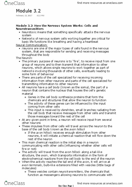 PSYC 1000 Chapter Notes - Chapter 3.2: Alprazolam, Critical Role, Acetylcholine thumbnail