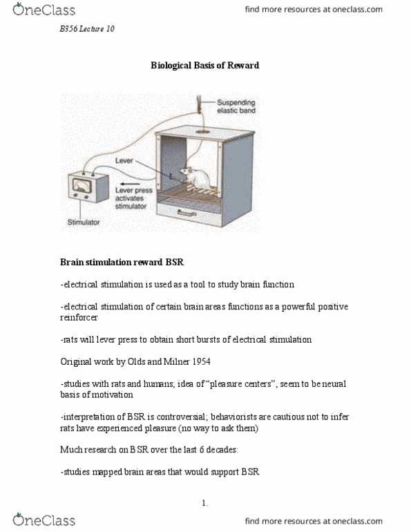 PSY-B - Psychology PSY-B 311 Lecture Notes - Lecture 10: Mesolimbic Pathway, Microdialysis, Anhedonia thumbnail