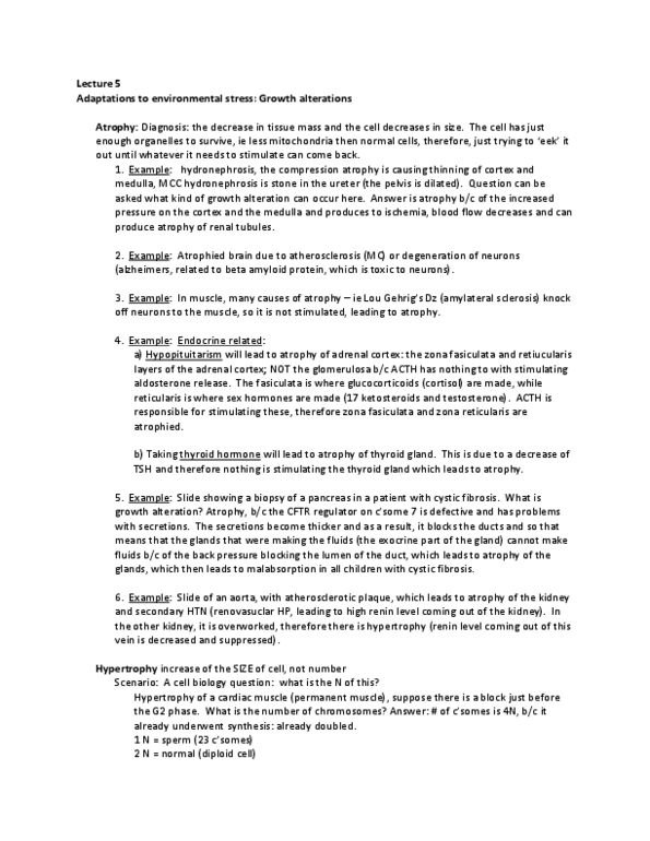 BGEN 3020 Lecture Notes - Lecture 5: Esophageal Cancer, Stratum Corneum, Cholangiocarcinoma thumbnail