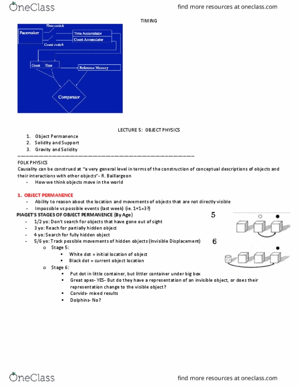 PSYC 355 Lecture Notes - Lecture 5: Hanging, Puzzle Video Game, Hominidae thumbnail