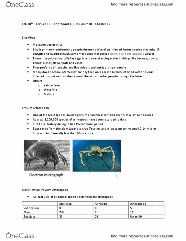 BI256 Lecture Notes - Lecture 16: Panarthropoda, Internal Fertilization, Myriapoda thumbnail