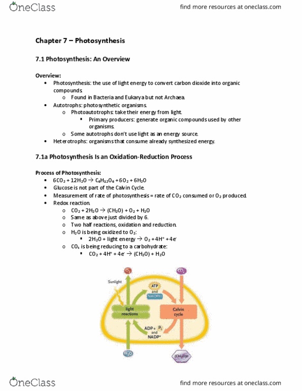 Biology 1002B Chapter Notes - Chapter 7: Atp Hydrolysis, Carbon Fixation, Redox thumbnail