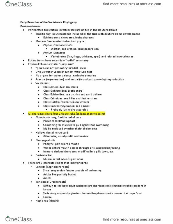 BSC 116 Lecture Notes - Lecture 12: Tetrapod, Placodermi, Chondrichthyes thumbnail