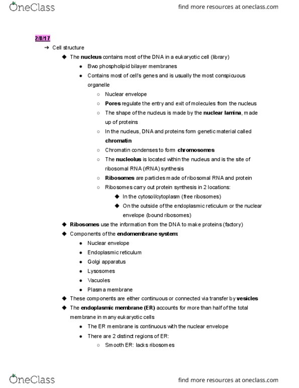 LIFE 102 Lecture Notes - Lecture 7: Peroxisome, Phagocytosis, Hydrolysis thumbnail