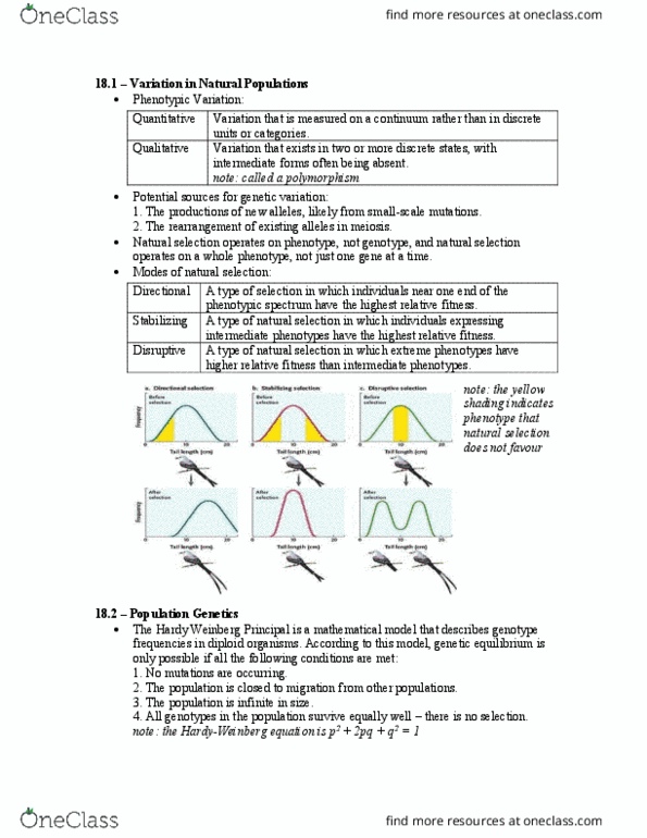 Biology 1001A Chapter Notes - Chapter 18.1 & 18.2 & 18.3 & 18.4: Heterozygote Advantage, Zygosity, Genetic Drift thumbnail