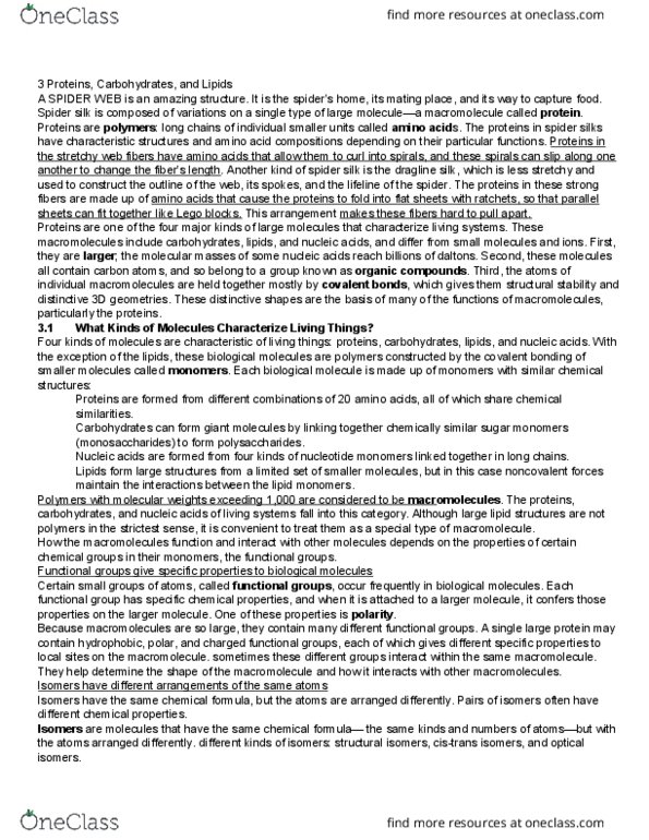 LIFESCI 2 Chapter Notes - Chapter 3: Amylopectin, Oligosaccharide, Mannose thumbnail