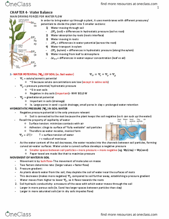 BIOL 341 Lecture 4: Ch4- Water Balance of Plants thumbnail
