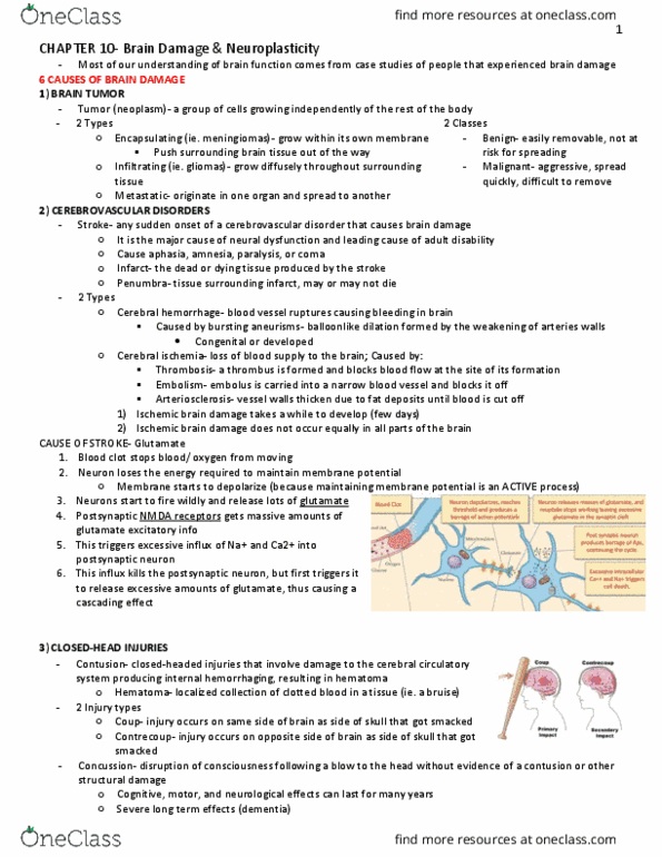 PSYC 370 Lecture Notes - Lecture 4: Meningitis, Pus, Antibody thumbnail