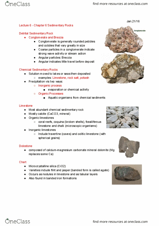 GL102 Lecture Notes - Lecture 6: Ripple Marks, Permineralization, Pyrite thumbnail