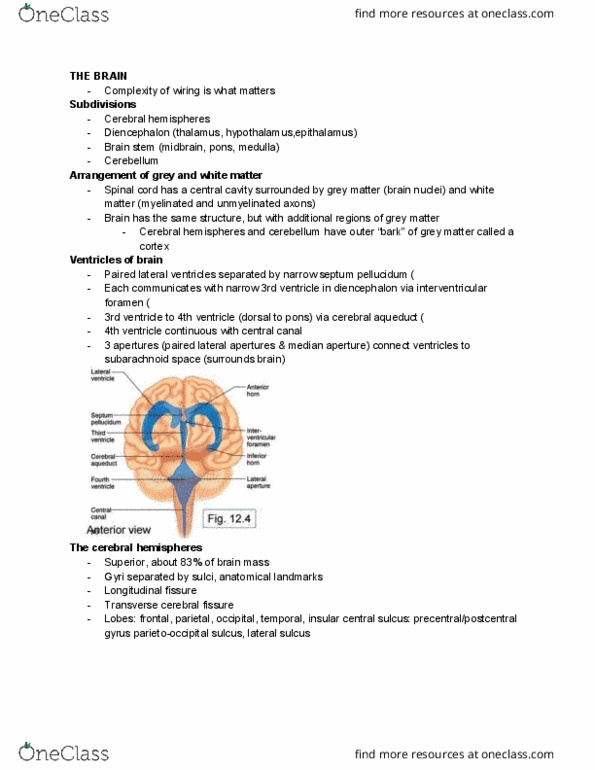 ANP 1106 Lecture 10: ANP1106Lecture10Summary thumbnail