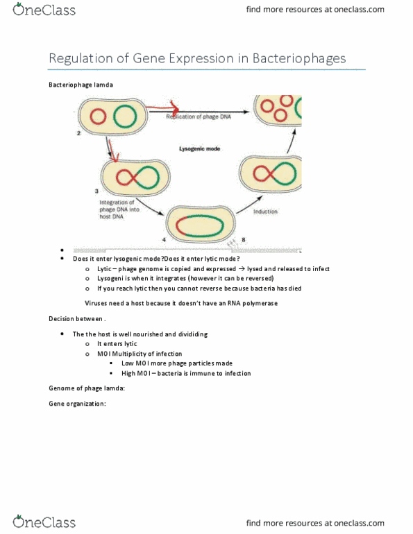 BIO 3170 Lecture Notes - Lecture 9: Ciii-Dt, Integrase, London Academy Of Music And Dramatic Art thumbnail