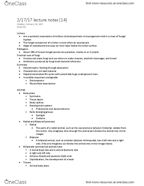 BILD 3 Lecture Notes - Lecture 14: Flatworm, Cestoda, Scyphozoa thumbnail