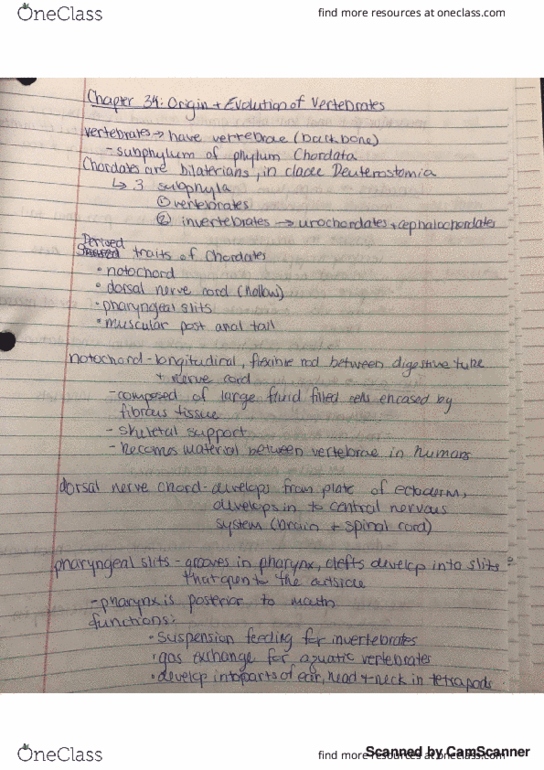 document preview image