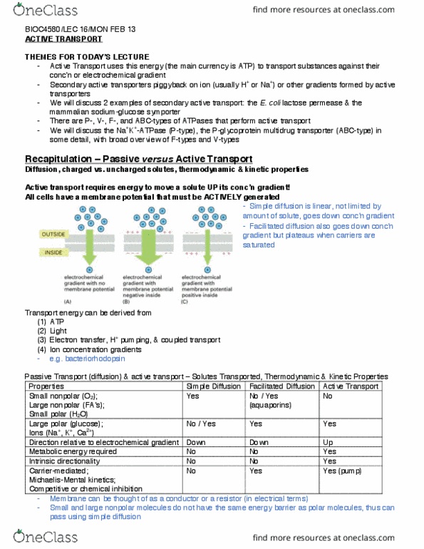 BIOC 4580 Lecture Notes - Lecture 16: Mechain, Organelle, Multiple Drug Resistance thumbnail