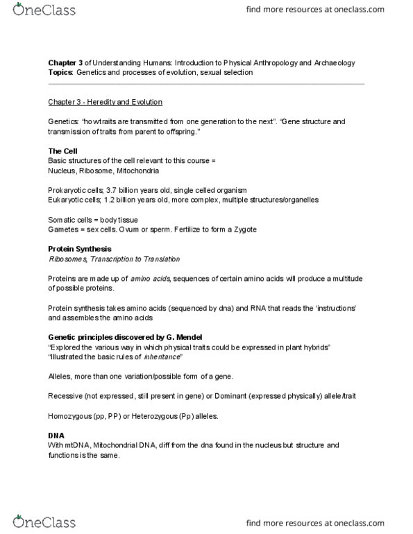 ANTA01H3 Chapter Notes - Chapter 3: Adaptive Radiation, Genetic Drift, Gene Flow thumbnail