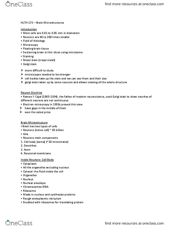 HLTH173 Lecture Notes - Lecture 3: Sodium-Potassium Alloy, Potassium Channel, Acetylcholine thumbnail