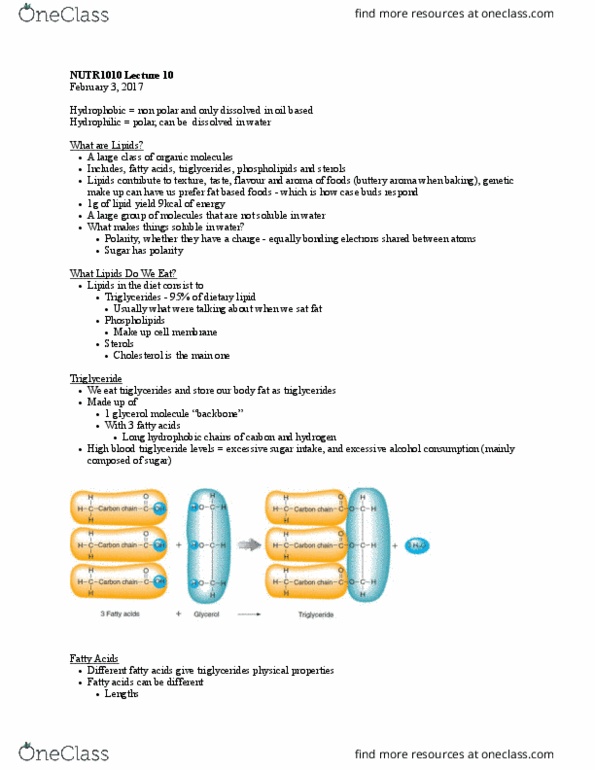 NUTR 1010 Lecture Notes - Lecture 10: Deep Frying, Yolk, Critical Role thumbnail