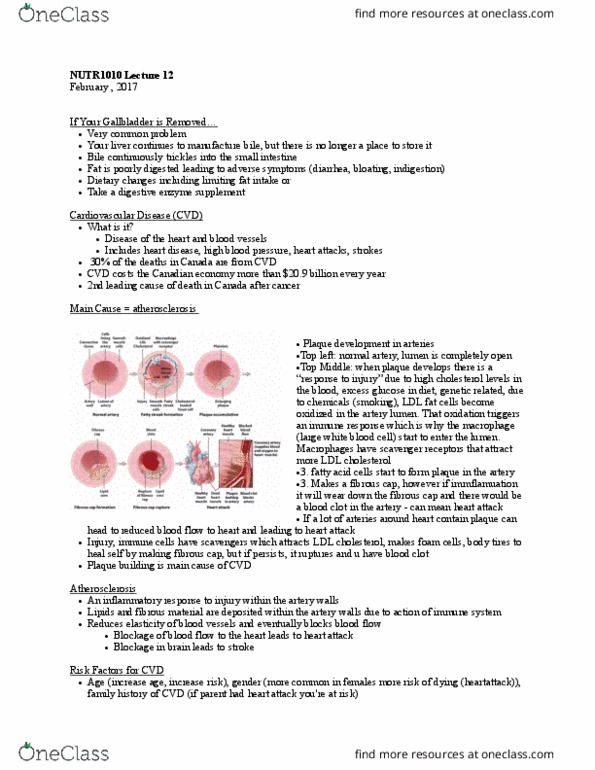 NUTR 1010 Lecture Notes - Lecture 12: Mediterranean Diet, Olive Oil, Safflower thumbnail