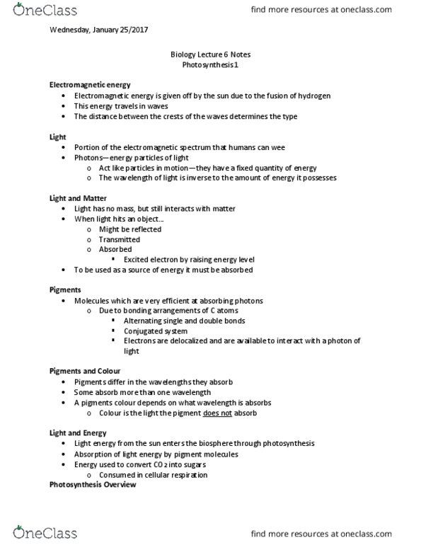 Biology 1202B Lecture Notes - Lecture 6: P700, Atp Synthase, Oxygen-Evolving Complex thumbnail