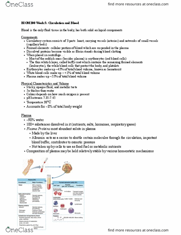 BIOM 2000 Lecture Notes - Lecture 5: Tunica Media, Chordae Tendineae, Subclavian Vein thumbnail