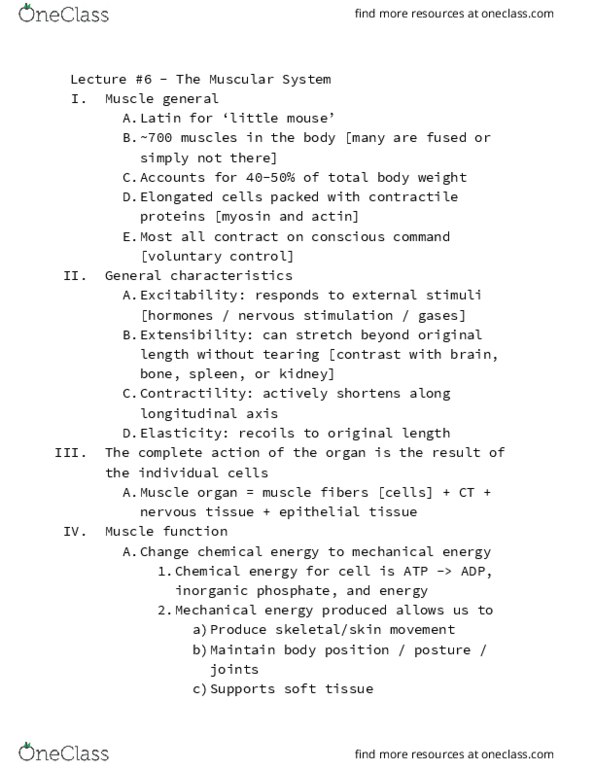 BIOL 212 Lecture Notes - Lecture 6: Sliding Filament Theory, Neuromuscular Junction, Motor Neuron thumbnail