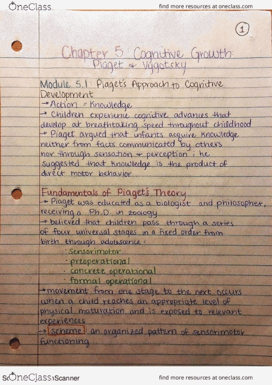 PSYC 160 Chapter 5: PSYCH 160 Ch. 5 Notes thumbnail