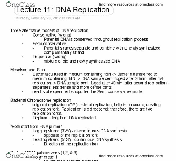 GENE 320 Lecture Notes - Lecture 11: Okazaki Fragments, Phosphodiester Bond, Reca thumbnail