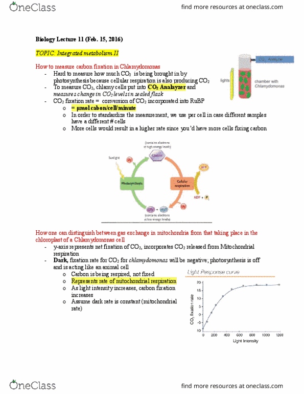 Biology 1002B Lecture Notes - Lecture 11: Competitive Inhibition, Chain Smoking, Irreversible Process thumbnail