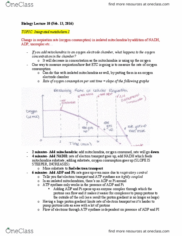 Biology 1002B Lecture Notes - Lecture 10: Pyruvic Acid, Reduction Potential, Acetyl-Coa thumbnail