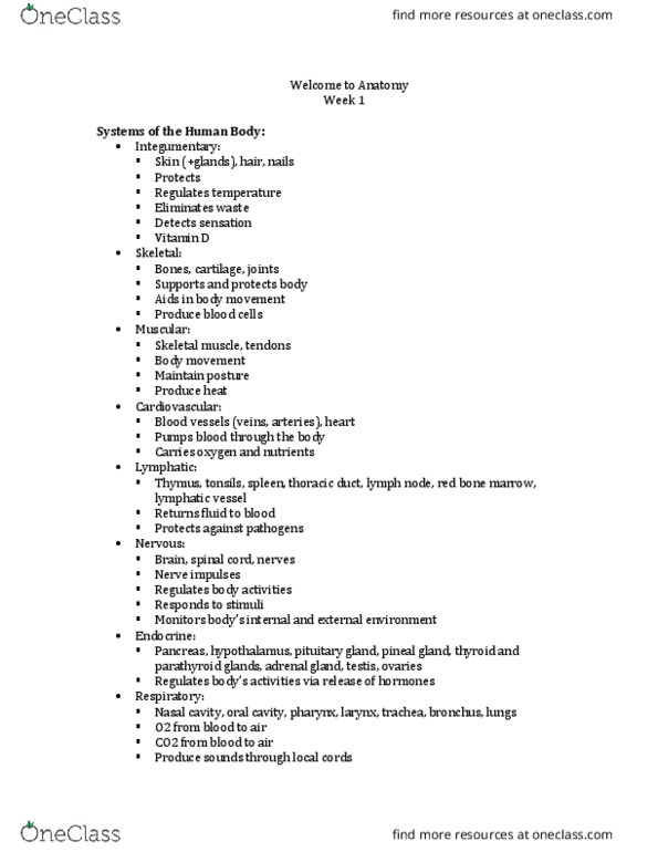 Anatomy and Cell Biology 2221 Lecture Notes - Lecture 1: Collagen, Ultimate Tensile Strength, Nervous Tissue thumbnail