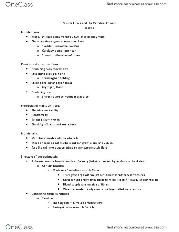 Anatomy and Cell Biology 2221 Lecture Notes - Lecture 3: Orbicularis Oris Muscle, Glycolysis, Agonist thumbnail