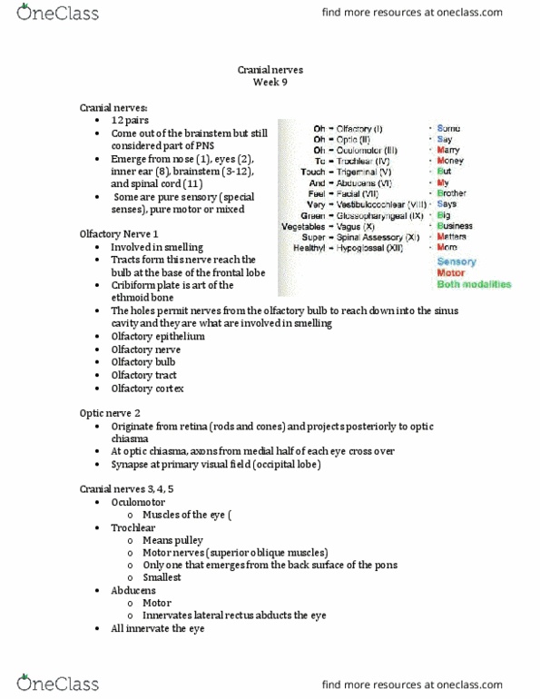 Anatomy and Cell Biology 2221 Lecture Notes - Lecture 9: Arrector Pili Muscle, Arteriole, Genitourinary System thumbnail