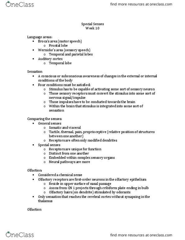 Anatomy and Cell Biology 2221 Lecture Notes - Lecture 10: Anti-Gravity, Endolymph, Middle Ear thumbnail