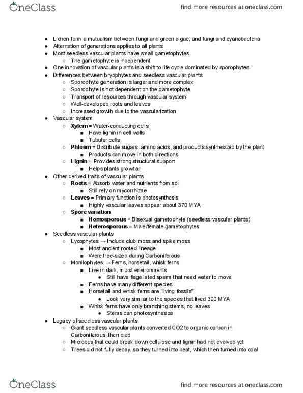 BIOL 2200 Lecture Notes - Lecture 17: Namib Desert, Microsporangia, Welwitschia thumbnail