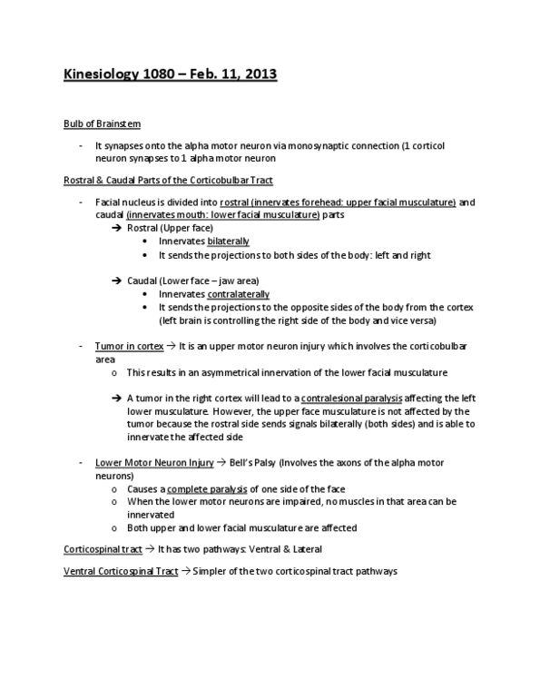 Kinesiology 1080A/B Lecture Notes - Lateral Corticospinal Tract, Alpha Motor Neuron, Corticospinal Tract thumbnail