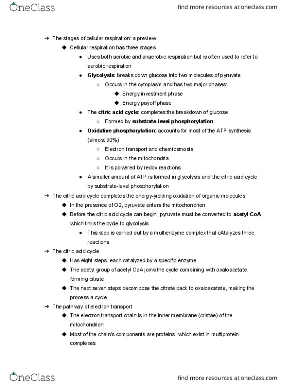 LIFE 102 Lecture Notes - Lecture 10: Oxaloacetic Acid, Acetyl-Coa, Acetyl Group thumbnail