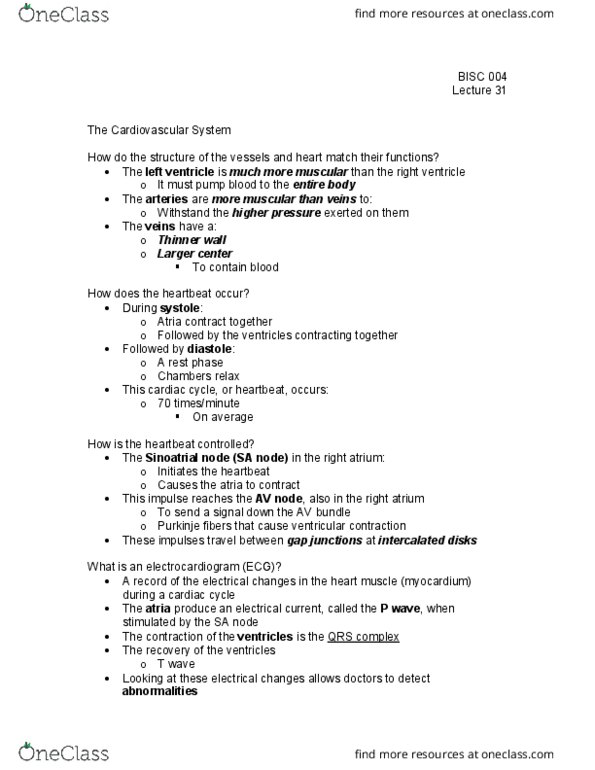 BI SC 004 Lecture Notes - Lecture 31: Qrs Complex, Skeletal Muscle, T Wave thumbnail