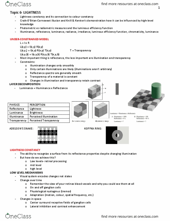 PSYC 380 Lecture Notes - Lecture 6: Supreme Headquarters Allied Powers Europe, Color Constancy, Relative Luminance thumbnail