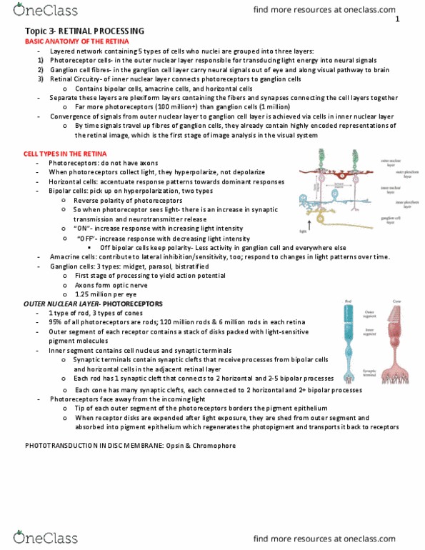 PSYC 380 Lecture Notes - Lecture 3: Resting Potential, Nonlinear System, Linear System thumbnail