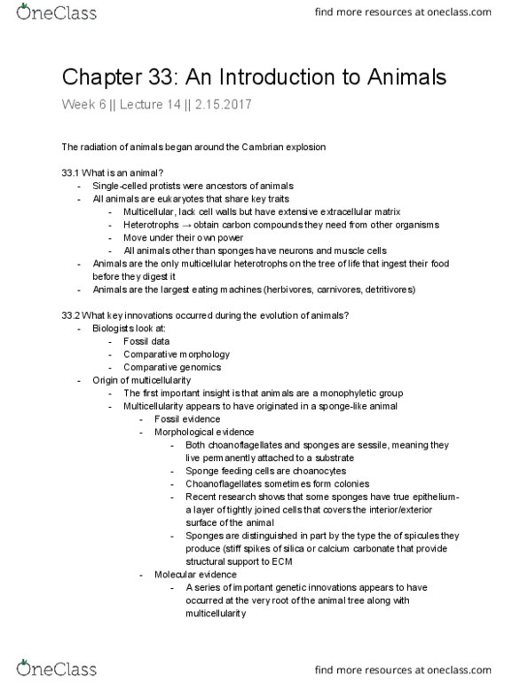 BIO SCI 94 Lecture 14: Chapter 33: Intro to Animals thumbnail